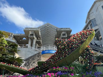 沖縄美ら海水族館に投稿された画像（2023/1/22）