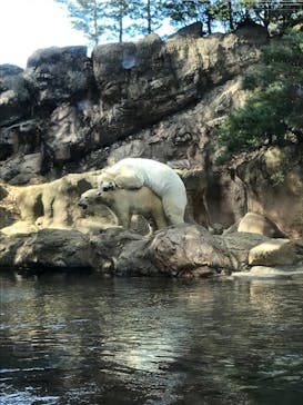 よこはま動物園ズーラシアに投稿された画像（2023/1/22）