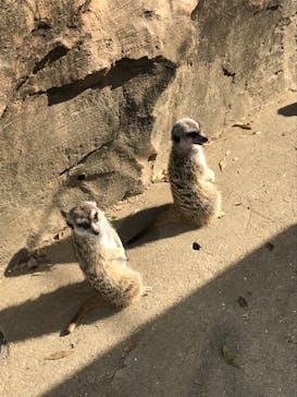 よこはま動物園ズーラシアに投稿された画像（2023/1/22）