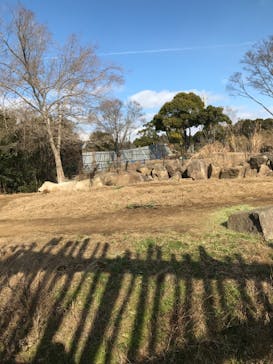 よこはま動物園ズーラシアに投稿された画像（2023/1/22）