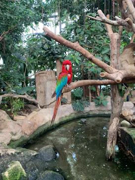 神戸どうぶつ王国に投稿された画像（2023/1/22）