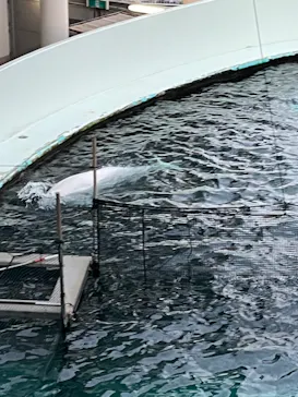 横浜・八景島シーパラダイスに投稿された画像（2023/1/23）