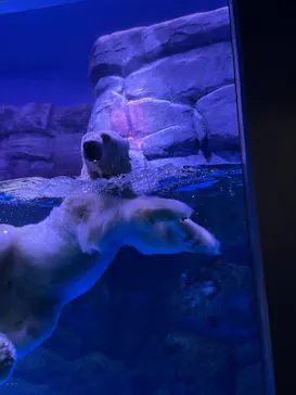 横浜・八景島シーパラダイスに投稿された画像（2023/1/23）