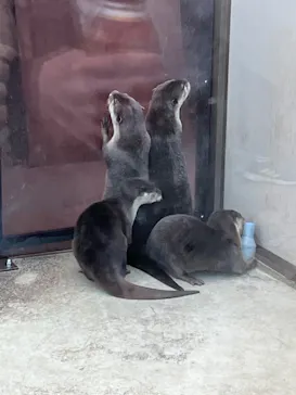 横浜・八景島シーパラダイスに投稿された画像（2023/1/23）