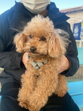 IPCわんわん動物園に投稿された画像（2023/1/23）