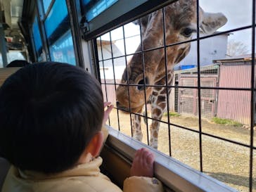 那須サファリパークに投稿された画像（2023/1/23）