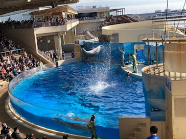 新江ノ島水族館に投稿された画像（2023/1/23）