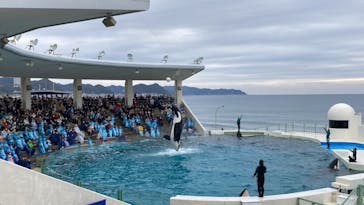 鴨川シーワールドに投稿された画像（2023/1/23）