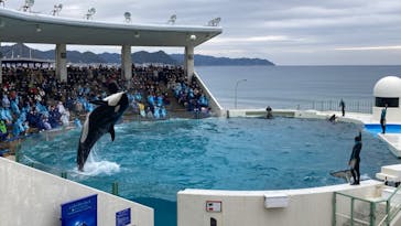 鴨川シーワールドに投稿された画像（2023/1/23）