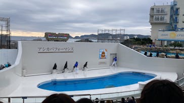 鴨川シーワールドに投稿された画像（2023/1/23）