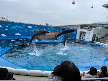 仙台うみの杜水族館に投稿された画像（2023/1/23）
