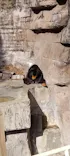 天王寺動物園に投稿された画像（2023/1/23）