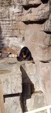 天王寺動物園に投稿された画像（2023/1/23）