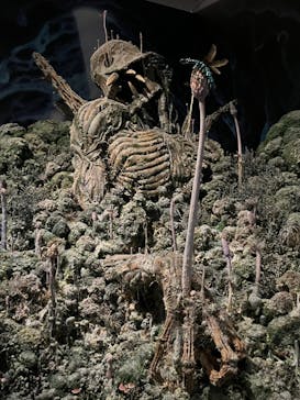 アニメージュとジブリ展に投稿された画像（2023/1/23）