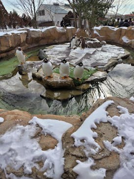 那須どうぶつ王国に投稿された画像（2023/1/23）