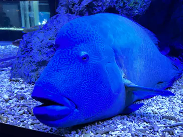 すみだ水族館に投稿された画像（2023/1/23）