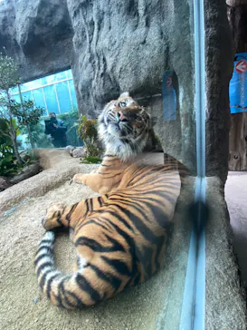 神戸どうぶつ王国に投稿された画像（2023/1/23）