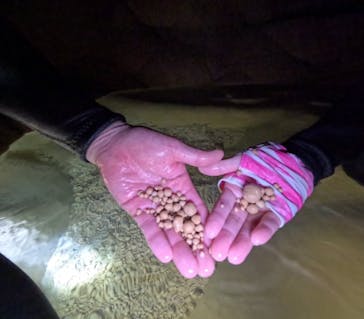 宮古島 ADVENTURE PiPi（ミヤコジマ アドベンチャー ピピ）に投稿された画像（2023/1/23）