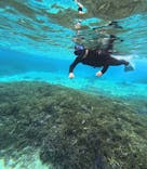 宮古島 ADVENTURE PiPi（ミヤコジマ アドベンチャー ピピ）に投稿された画像（2023/1/23）