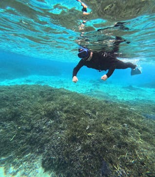 宮古島 ADVENTURE PiPi（ミヤコジマ アドベンチャー ピピ）に投稿された画像（2023/1/23）