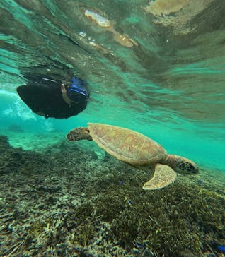 宮古島 ADVENTURE PiPi（ミヤコジマ アドベンチャー ピピ）に投稿された画像（2023/1/23）