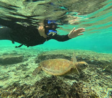 宮古島 ADVENTURE PiPi（ミヤコジマ アドベンチャー ピピ）に投稿された画像（2023/1/23）