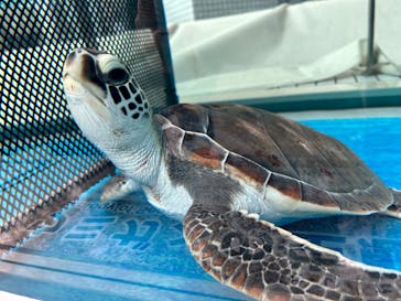 名古屋港水族館に投稿された画像（2023/1/23）