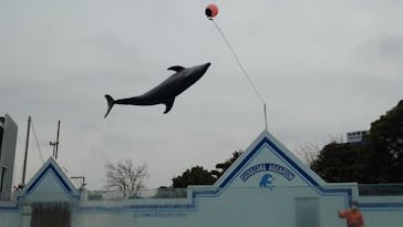 しながわ水族館に投稿された画像（2023/1/23）