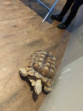 Moff animal cafe 小田原ダイナシティ店に投稿された画像（2023/1/23）