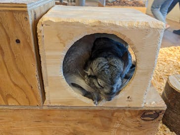 Moff animal cafe 小田原ダイナシティ店に投稿された画像（2023/1/23）