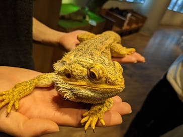 Moff animal cafe 小田原ダイナシティ店に投稿された画像（2023/1/23）