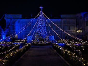 星の王子さまミュージアム 箱根サン=テグジュペリに投稿された画像（2023/1/23）