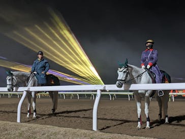 東京メガイルミに投稿された画像（2023/1/23）