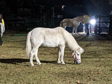 東京メガイルミに投稿された画像（2023/1/23）