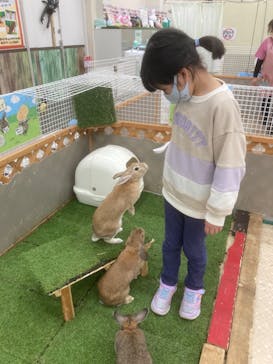 東京あそびマーレに投稿された画像（2023/1/23）