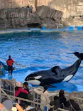 名古屋港水族館に投稿された画像（2023/1/23）