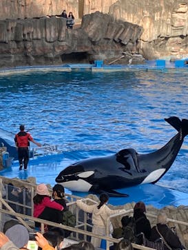 名古屋港水族館に投稿された画像（2023/1/23）