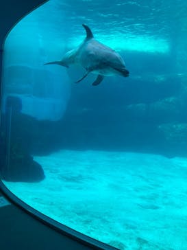 名古屋港水族館に投稿された画像（2023/1/23）