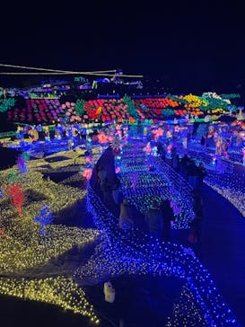 伊豆ぐらんぱる公園に投稿された画像（2023/1/24）