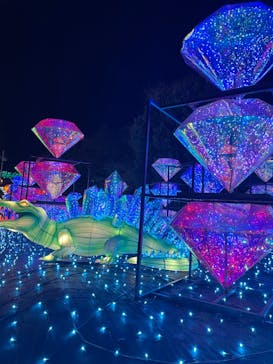 伊豆ぐらんぱる公園に投稿された画像（2023/1/24）