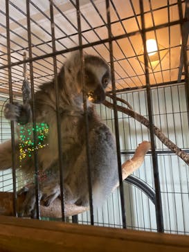 伊豆ぐらんぱる公園に投稿された画像（2023/1/24）