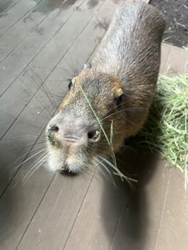 カワスイ 川崎⽔族館に投稿された画像（2023/1/24）