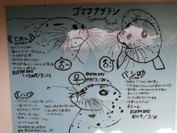 京都水族館に投稿された画像（2023/1/24）