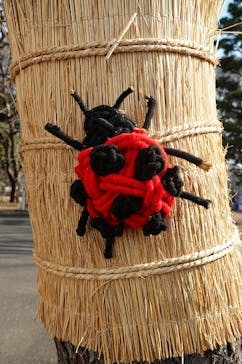 江戸東京たてもの園に投稿された画像（2023/1/24）