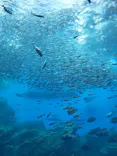 仙台うみの杜水族館に投稿された画像（2023/1/24）