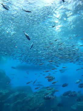 仙台うみの杜水族館に投稿された画像（2023/1/24）