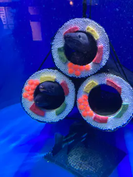 仙台うみの杜水族館に投稿された画像（2023/1/24）