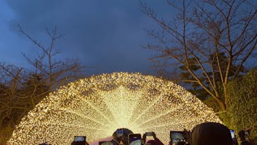 なばなの里に投稿された画像（2023/1/24）