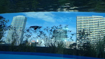 サンシャイン水族館に投稿された画像（2023/1/24）