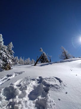 八ヶ岳アウトドア・アクティヴィティーズに投稿された画像（2023/1/25）